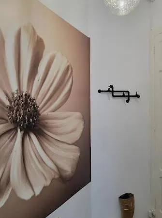 House Pajarillo Apartamento Vigo