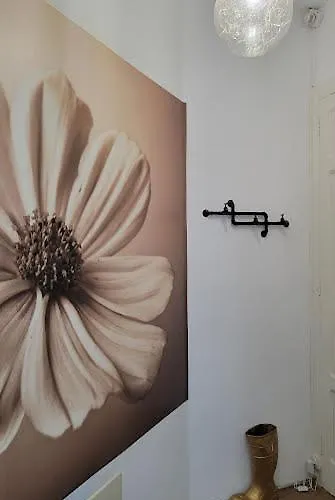 House Pajarillo Daire Vigo